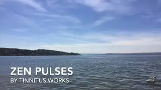 Zen Pulses - Tinnitus Relief