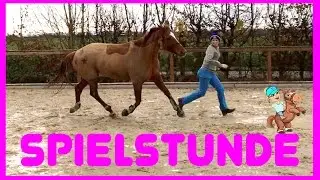 FREIE BODENARBEIT I Spielstunde mit Natural Horsemanship Übungen I Stick to me Wölbchen