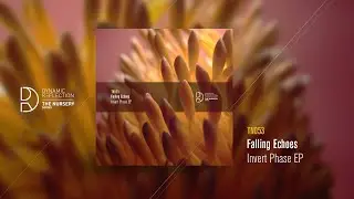 Falling Echoes - Exhibition