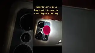 muhabbet kuşlarında yumurta dolumu boşmu