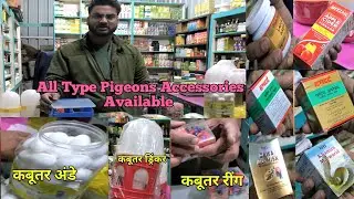 Pigeons Pet Shop | Kabootar Ka Shop Latur