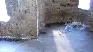 Haunted Squire's Castle Willoughby Hills Ohio CRAZY EVPS (3of4)