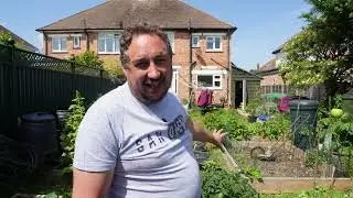 End of May veg plot tour