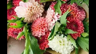 Give the gift of a flower subscription! 16 local farmers that deliver all year long