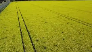 Drone Mt Mercer fans