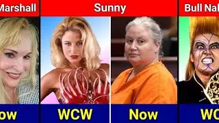 WCW Women Wrestlers: Then vs Now
