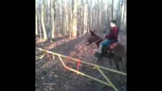Brody falls off mule while jumping gate