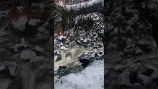 Winter River Sound #relaxation #calm #naturesounds #travel #water #asmr #saniasights