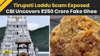Tirupati Laddu Scam Exposed CBI Reveals ₹250 Crore Fake Ghee Supplied For Prasad