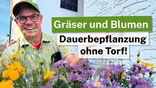 Gr&auml;ser und Blumen: Dauerbepflanzung ohne Torf!
