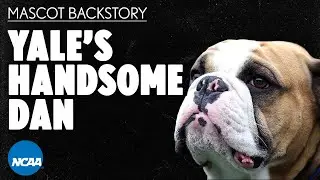 The iconic origin of Yale's Handsome Dan | NCAA mascot history