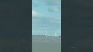 On the way to #canberra from #nsw #fjcruiser drive #australia #lakegeorge #windmill #youtubeshorts