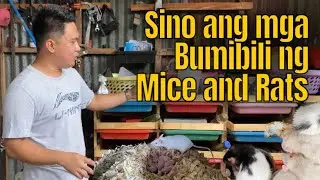 Mga Buyers ng Rats and Mice