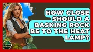 How Close Should A Basking Rock Be To The Heat Lamp? - Reptilian Wonders