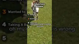 Top 5 Funny Farm Animal Moments