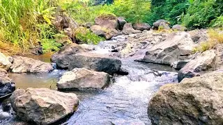 Flowing Water Sounds for Stress Relief and Sleep