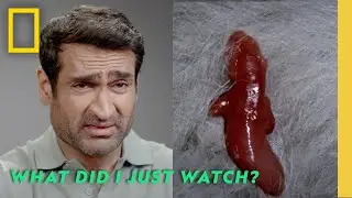 What Did I Just Watch? with Kumail Nanjiani | Hularious | National Geographic