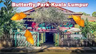 A Close Encounter with Butterflies at Kuala Lumpur Butterfly Park