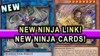 NEW NINJA LINK MONSTER! + A NEW DINOSAUR NINJA DRAGON?  NEW NINJAS SUPPORT!