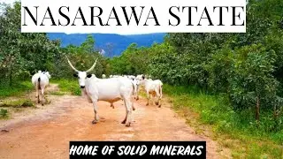 COME WITH ME TO NASARAWA CHASING WATERFALLS. || FARIN RUWA || NIGERIA #farinruwa #waterfall #nigeria