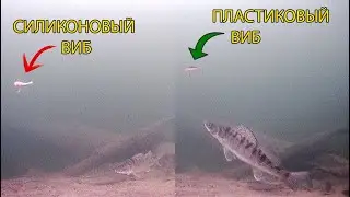 РЕАКЦИЯ СУДАКА НА СИЛИКОНОВЫЙ ВИБ ПОДВОДНАЯ СЪЕМКА