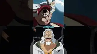 (Old) Whitebeard VS (Old) Rayleigh Who Wins?!🗣️🗣️🗣️#onepiece #strongestonepiececharacters#comparison