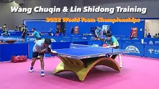 Wang Chuqin Training with Lin Shidong 6 | 2022 World Team Championships