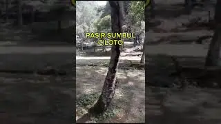 camping ground PASIR SUMBUL Ciloto #youtube #youtubevideo #campground #pasirsumbul #ciloto #bogor