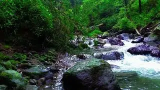 Nature River Soundscape &ndash; Deep Sleep, Dream Far | sleep - relax - enjoy life - ASMR