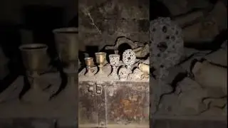 Unbelievable Treasure Hunt Finds 😱 | Gold, Coins & Hidden History #Shorts