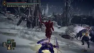Elden Ring Blue Hunter VS Bloody Finger yz nr 54