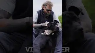 The Difference Between Male & Female Dogs