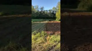 Discing with a tuffline disc.