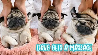 Doug Gets a Massage
