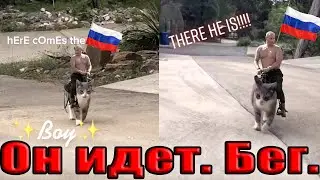 вот идет мальчик (Here Comes the Boy)