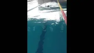 Lifeguard test (swim 300 meters)