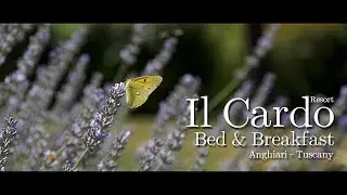 👉 IL CARDO RESORT - Bed & Breakfast - Anghiari - Tuscany - ITALIA