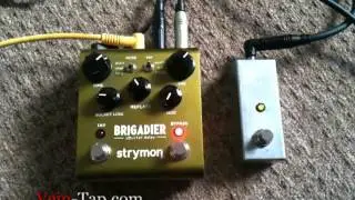 Custom Favorite Switch from Vein-Tap.com with Strymon Brigadier Delay Pedal