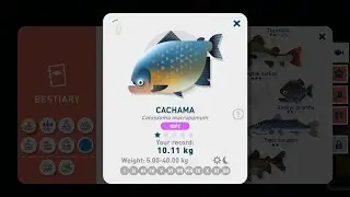 Creatures of the Deep - Cachama