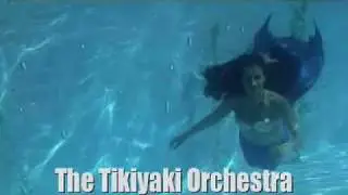 **The 7th Annual Hukilau** Fort Lauderdale  June 12-15 2008!