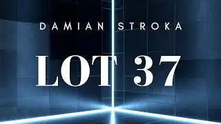 DAMIAN STROKA - Lot 37