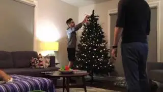 christmas tree 2015 time lapse