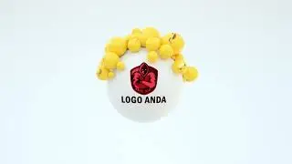 Magnetic Balls Logo Animation (13s)