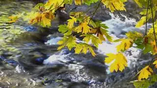 International Day of Rivers : 28 Sep | World Geography 🥰