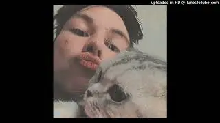 cuardy hood 16 - что то похожее на рэп (prod. by Loonyshot)