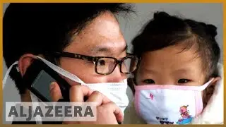 Fears African swine fever in North Korea could spread to South