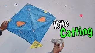 Day 52 🪁Kite Cutting Challenge: The Final Showdown
