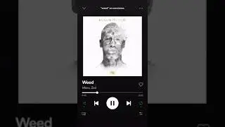 Weed  Maes feat  Zed Audio officiel