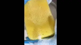 Pregnancy craving , #ASMR # cleaning #relaxing videos # 🫶sponge squeezes relaxing 🩷stress relief 🫶