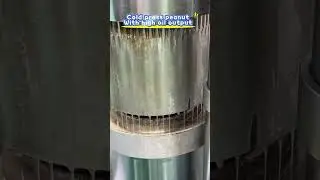 Unlock Pure, High-Yield Peanut Oil with Lewin Oil Machine!